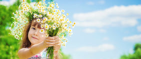 Daisy Flower Gifts New Jersey - New Jersey Blooms Flower Delivery Same Day Shipping