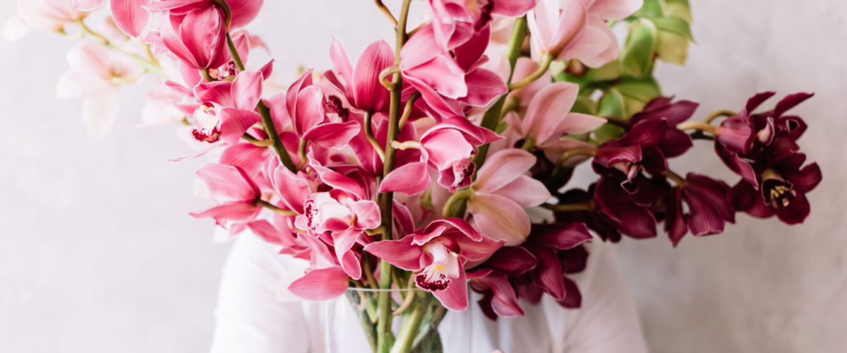 Orchids &amp; Exotics