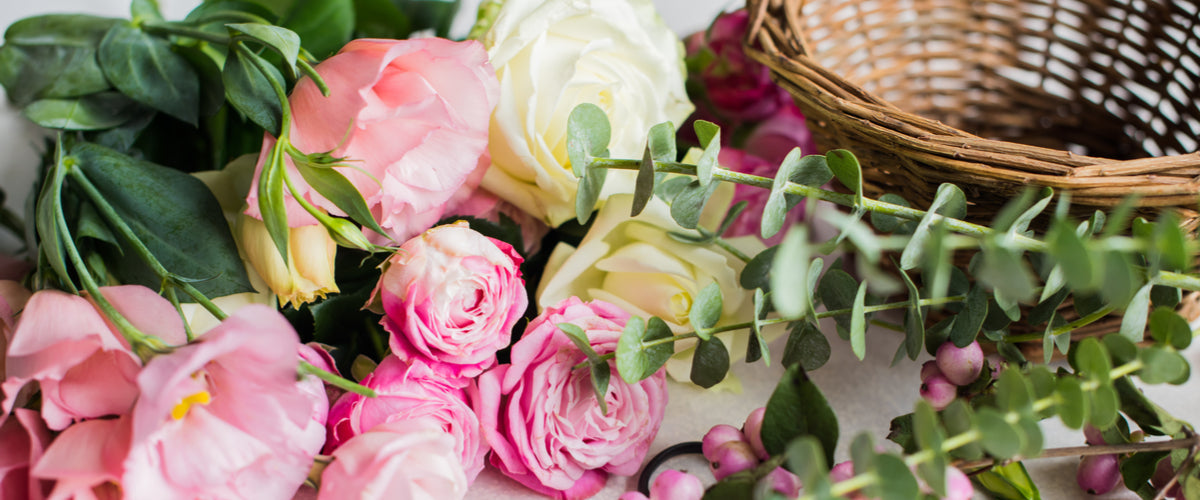 Blooms Insider - Flowers