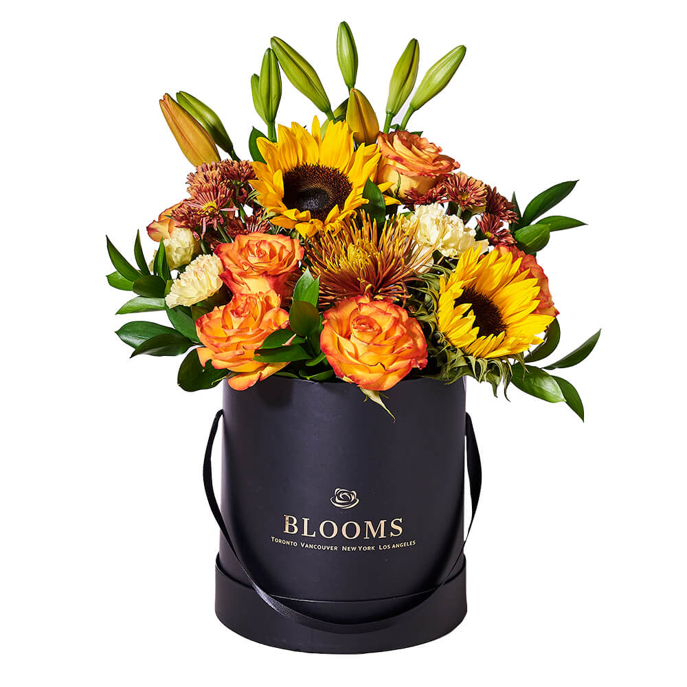 Fall Flower Arrangement, orange lilies, sunflowers, bronze daisies, roses, yellow carnations, a spider chrysanthemum, and greens displayed in a tall, round, black hat box, Flower Gifts from Blooms New Jersey - Same Day New Jersey Delivery.