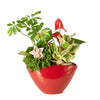 Fresh Winter Plant Arrangement, holiday,  Potted Flower,  christmas,  Flower Arrangement,  Floral Arrangement,  Set 23989-2021, floral arrangement delivery, delivery floral arrangement, christmas flowers us , us christmas flowers, new jersey