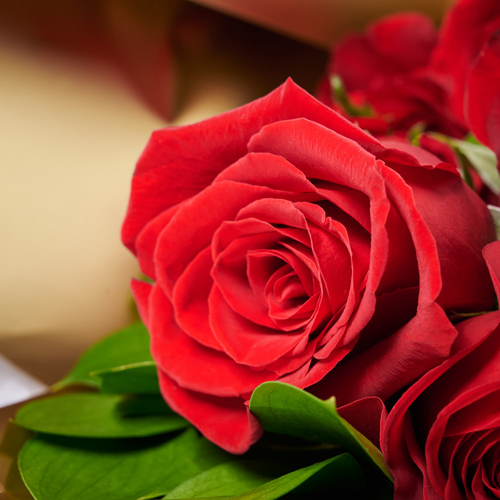 Grand Red Rose Gift With Chocolate & Wine, wine gift, wine, gourmet gift, gourmet, rose gift, rose, chocolate gift, chocolate. New Jersey Blooms - New Jersey Delivery Blooms