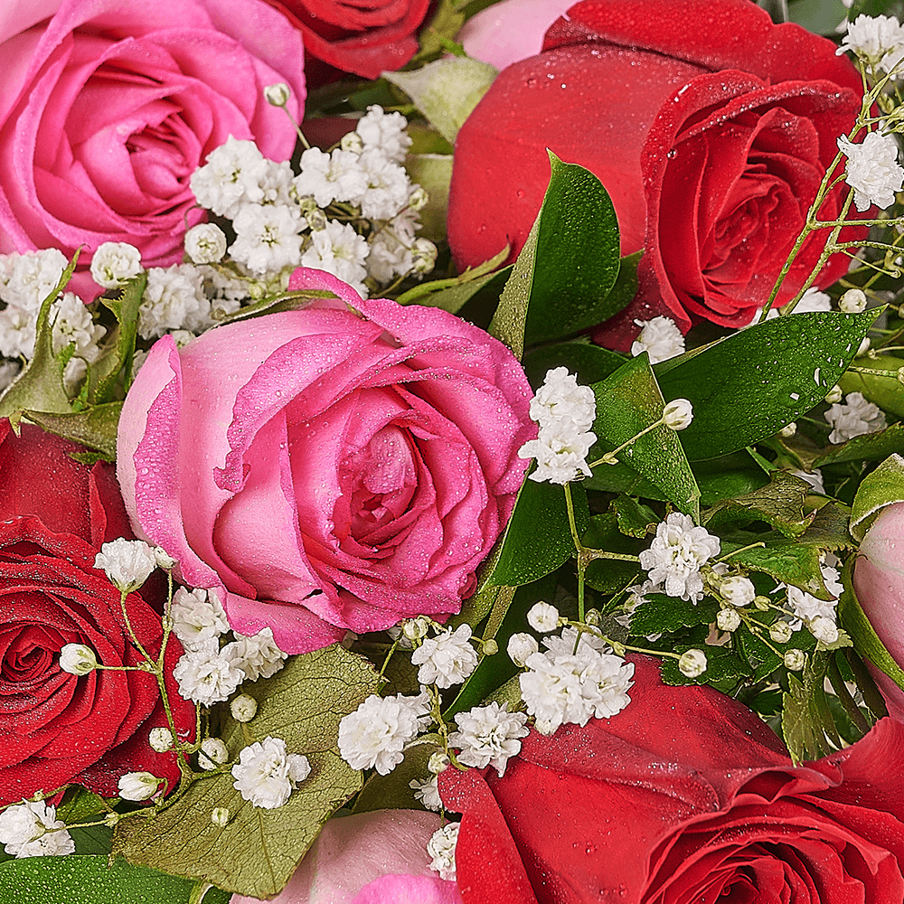Mother’s Day 12 Stem Red & Pink Bouquet, rose gift, rose, mothers day gift, mothers day, New Jersey delivery