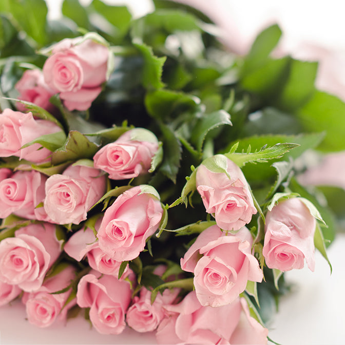 Free Same Day Flower Delivery, New Jersey Blooms - Blooms New Jersey