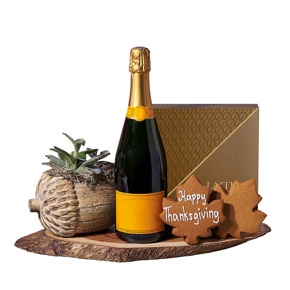 Thanksgiving Champagne &amp; Succulent Gift, sparkling wine gift, sparkling wine, champagne gift, champagne, plant gift, plant, thanksgiving gift, thanksgiving.New Jersey Blooms - New Jersey Delivery Blooms