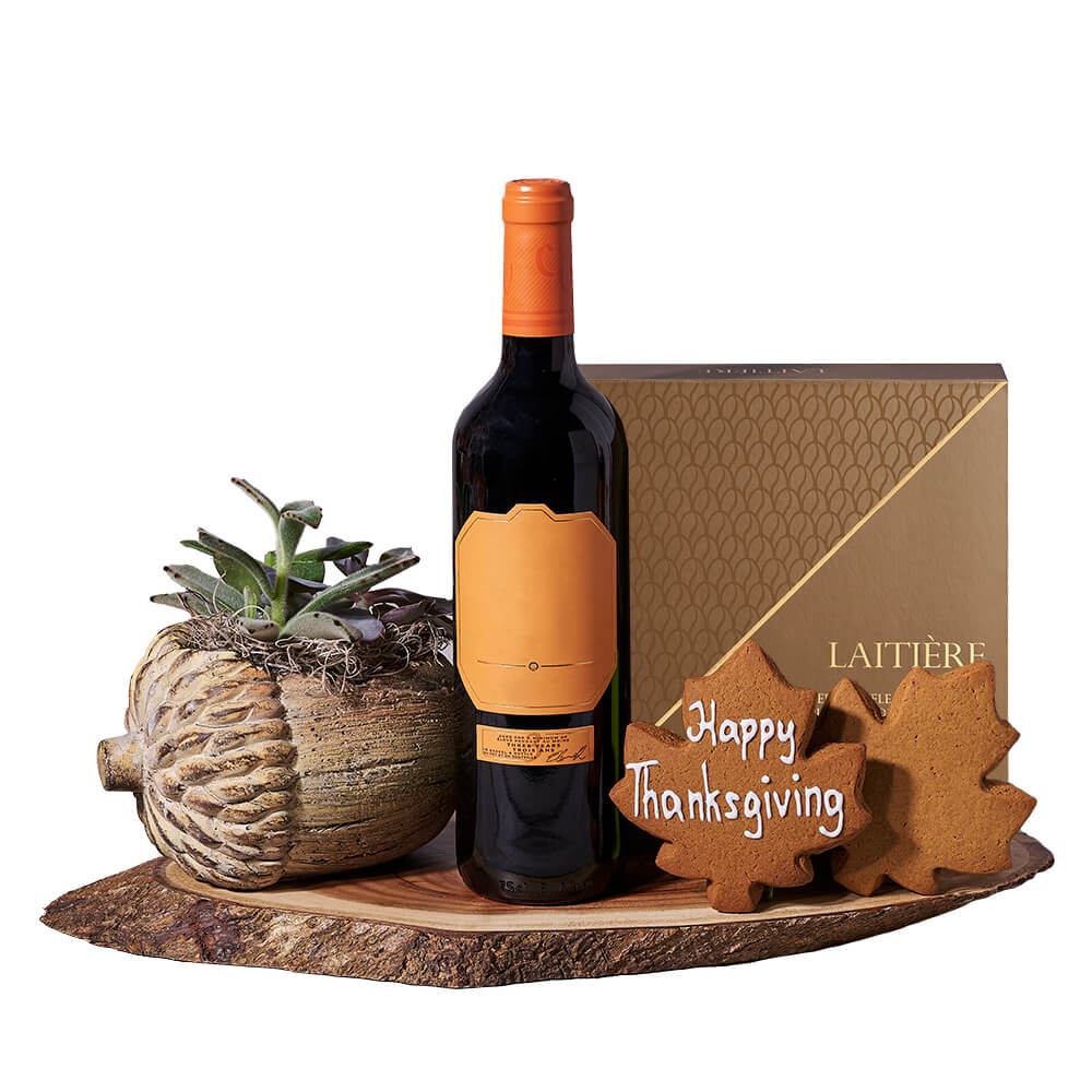 Thanksgiving Wine &amp; Succulent Gift, wine gift, wine, thanksgiving gift, thanksgiving, plant gift, plant, gourmet gift, gourmet.New Jersey Blooms - New Jersey Delivery Blooms