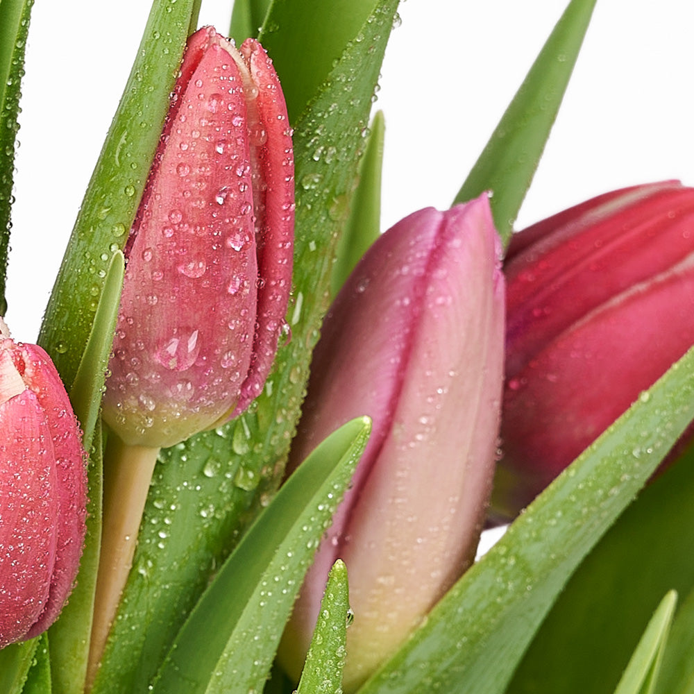 Valentine's Day Seasonal Bouquet, New Jersey Same Day Flower Delivery, Valentine's Day gifts, tulips, seasonal