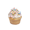 Vanilla Cupcakes with Sprinkles, cupcake gift, cupcake, birthday gift, birthday, New Jersey delivery