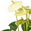 Admiration & Love Flower & Chocolate Gift - New Jersey Blooms - New Jersey Flower Delivery