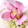 Orchid & Daisy Floral Gift Box, gift baskets, floral gifts, mother’s day gifts. New Jersey Blooms - New Jersey Delivery Blooms