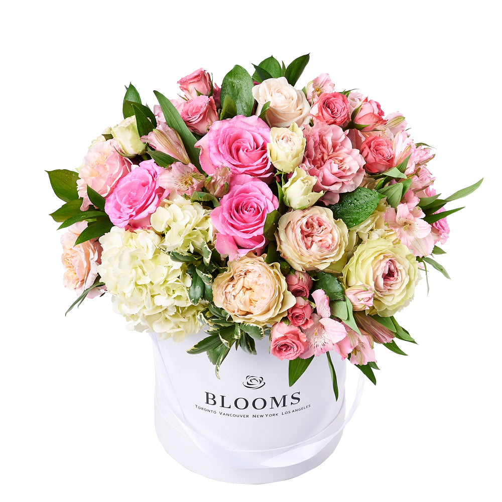 Alluring Rose & Hydrangea Gift Box, gift baskets, floral gifts, mother’s day gifts. New Jersey Blooms - New Jersey Delivery Blooms