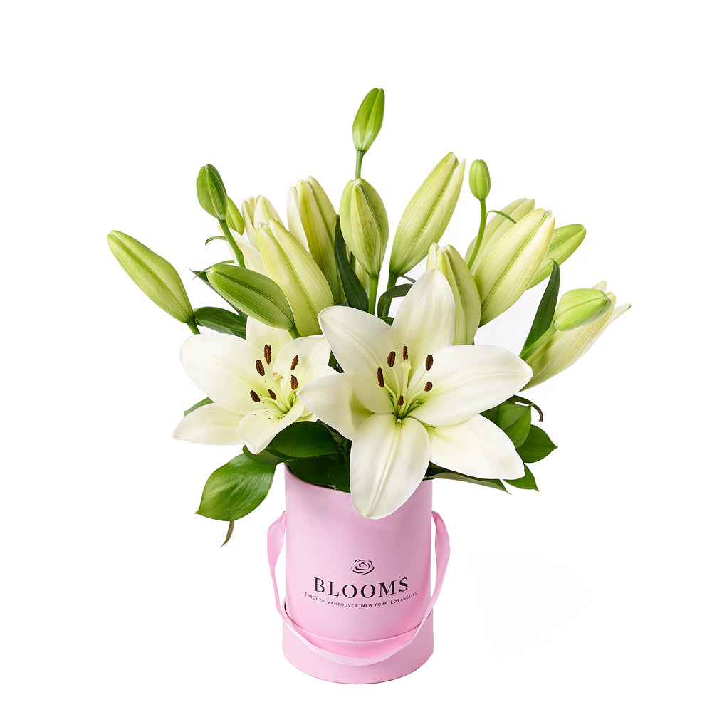 Wondrous Cream Lily Hat Box, lily gift, flower gift, mother's day, floral gift