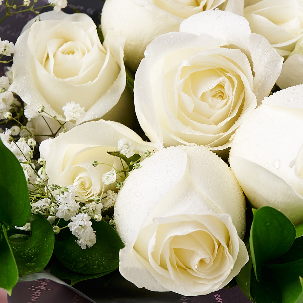 Beautiful White Rose Flowers Images | Best Flower Site