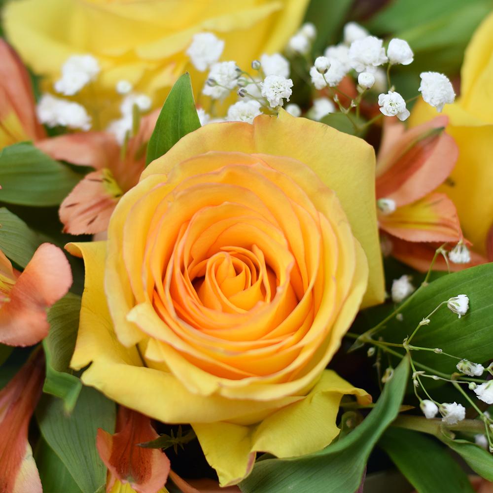 Autumnal Sunset Arrangement, brightly colored roses and alstroemeria, complemented by baby’s breath in a short green designer hat box, Mixed Floral Gifts from Blooms New Jersey - Same Day New Jersey Delivery.