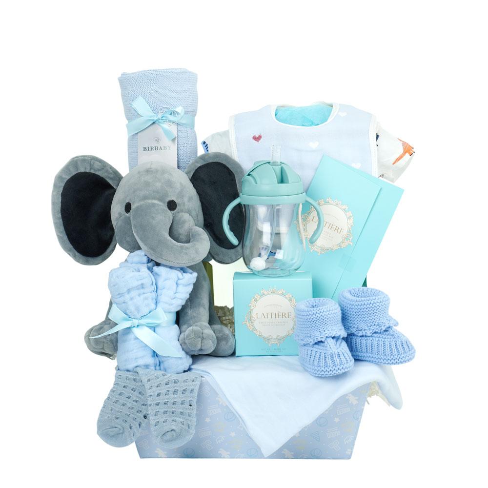 GBDS My First Teddy Bear New Baby Gift Basket - Blue - baby bath set - baby  boy gift basket