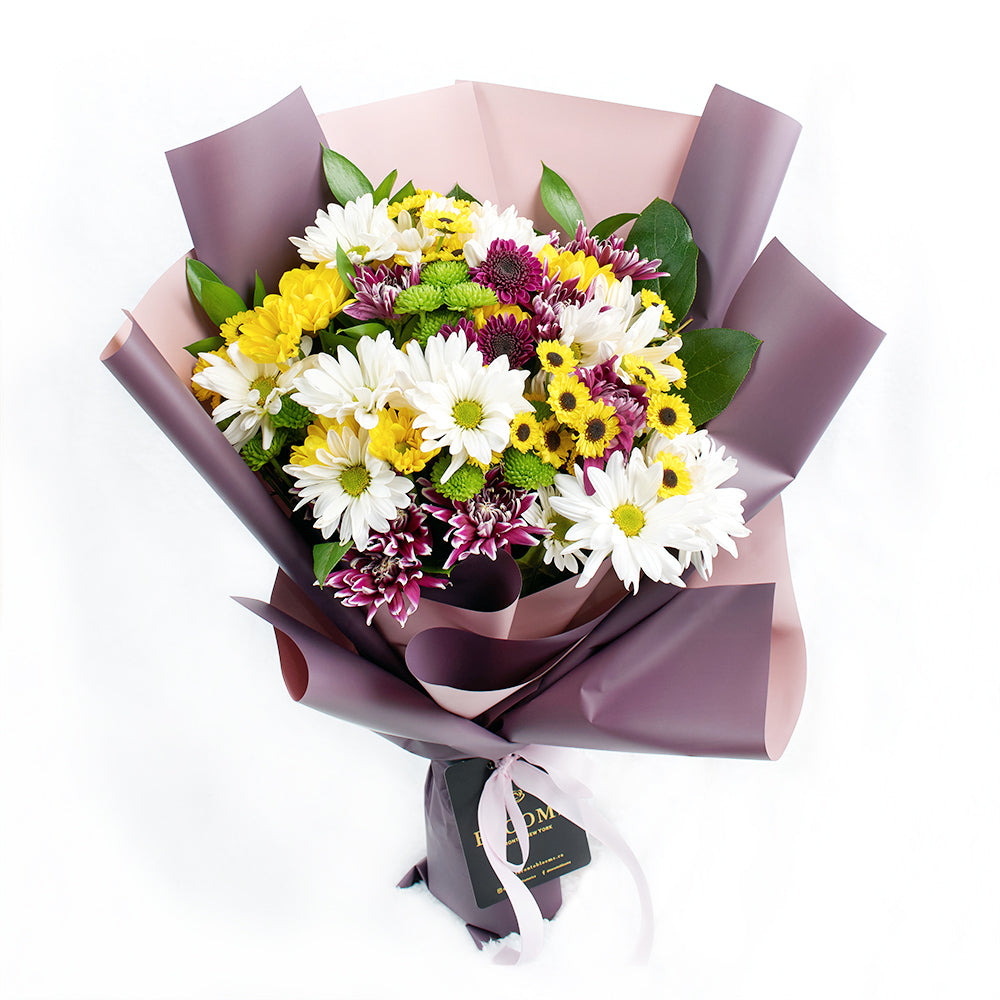 Mother's Day Wildflower Daisy Bouquet, mixed coloured selection of daisies in a floral wrap with a designer ribbon, Flower Gifts from Blooms New Jersey - Same Day New Jersey Delivery.