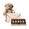 Bear & Love Letter Truffle Gift, chocolate gift, chocolate, gourmet gift, gourmet, plush gift, plush