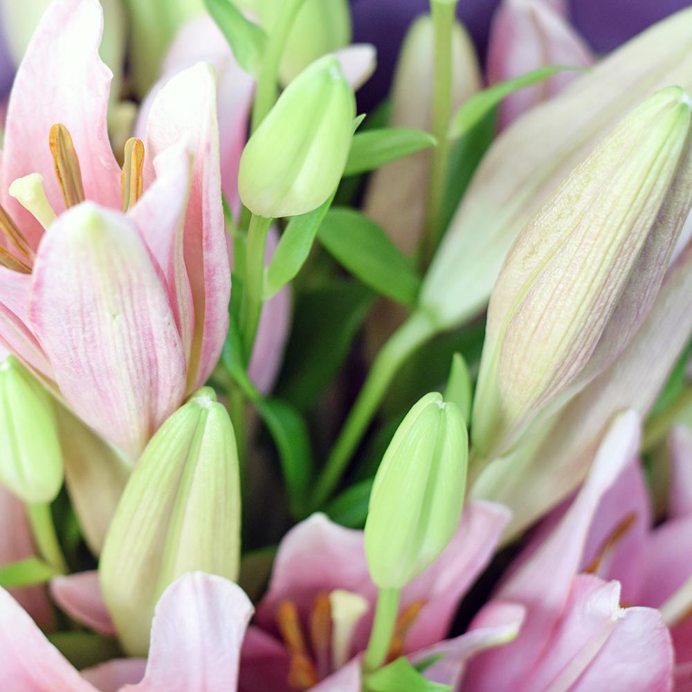 Berry Crush Lily Bouquet - New Jersey Blooms - New Jersey Flower Delivery