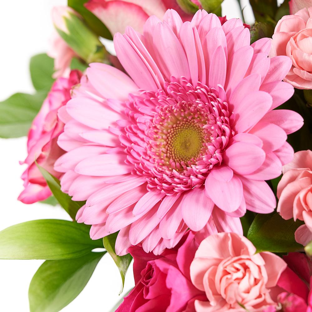 Boundless Cheer Flowers & Champagne Gift, pink roses, gerbera, spray roses, mini carnations, and greens in a square black designer hat box, bottle of Sparkling Wine, Mixed Floral Gifts from Blooms New Jersey - Same Day New Jersey Delivery.