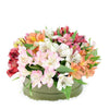 Brilliant Lily Hat Box - New Jersey Blooms - New Jersey Flower Delivery
