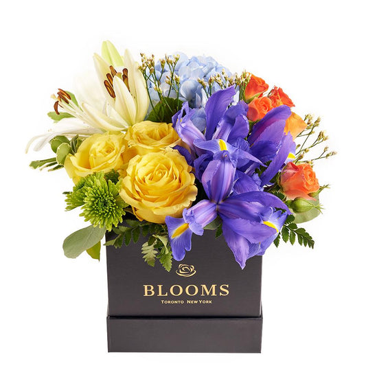 Bursting Beauty Iris Box Arrangement - Mixed Iris and other flower box arrangement - New Jersey Blooms - New jersey Flower delivery