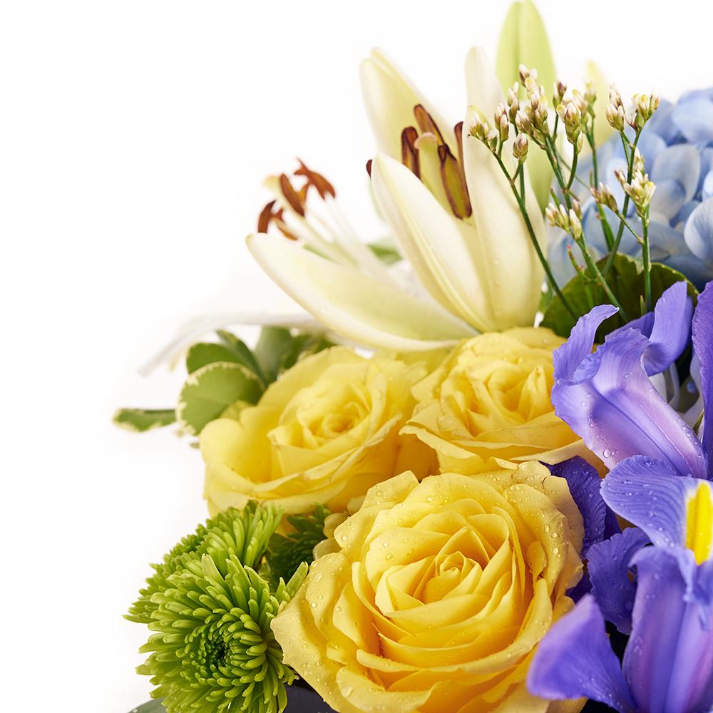 Bursting Beauty Iris Box Arrangement - Mixed Iris and other flower box arrangement - New Jersey Blooms - New jersey Flower delivery