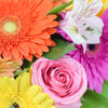 Celebrating Her Flower Gift, vivid hues, including cheerful gerbera, regal roses, radiant alstroemeria, and ruscus, elegantly arranged in a stylish short pink designer hat box, Mixed Floral Gifts from Blooms New Jersey - Same Day New Jersey Delivery.