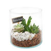 Circle of Life Succulent Terrarium - Plant Gift - Assorted succulents planted in a glass terrarium - New Jersey Blooms - New Jersey Delivery Blooms