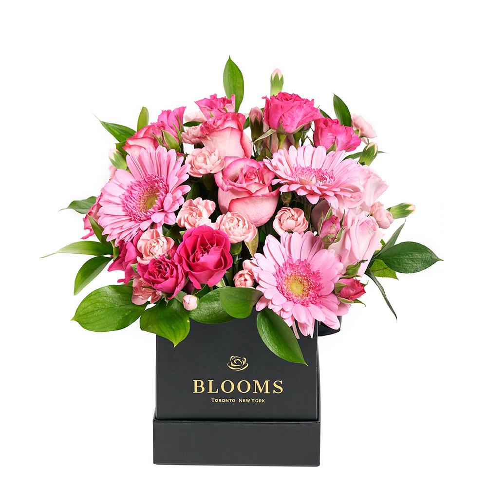 Color-Crazed Carnations Flower Gift - Blooms New Jersey - New Jersey delivery