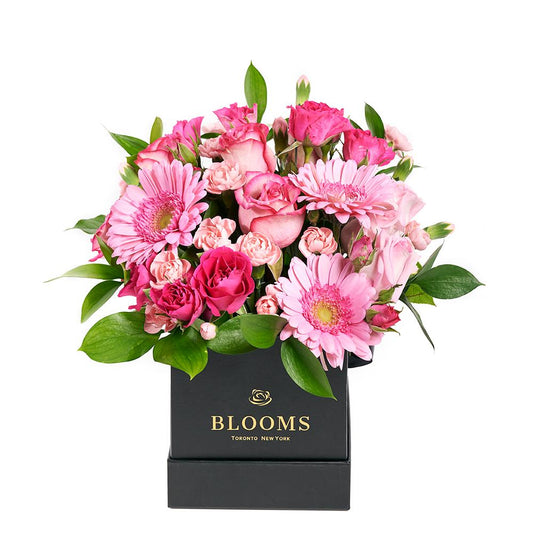 Color-Crazed Carnations Flower Gift - Blooms New Jersey - New Jersey delivery