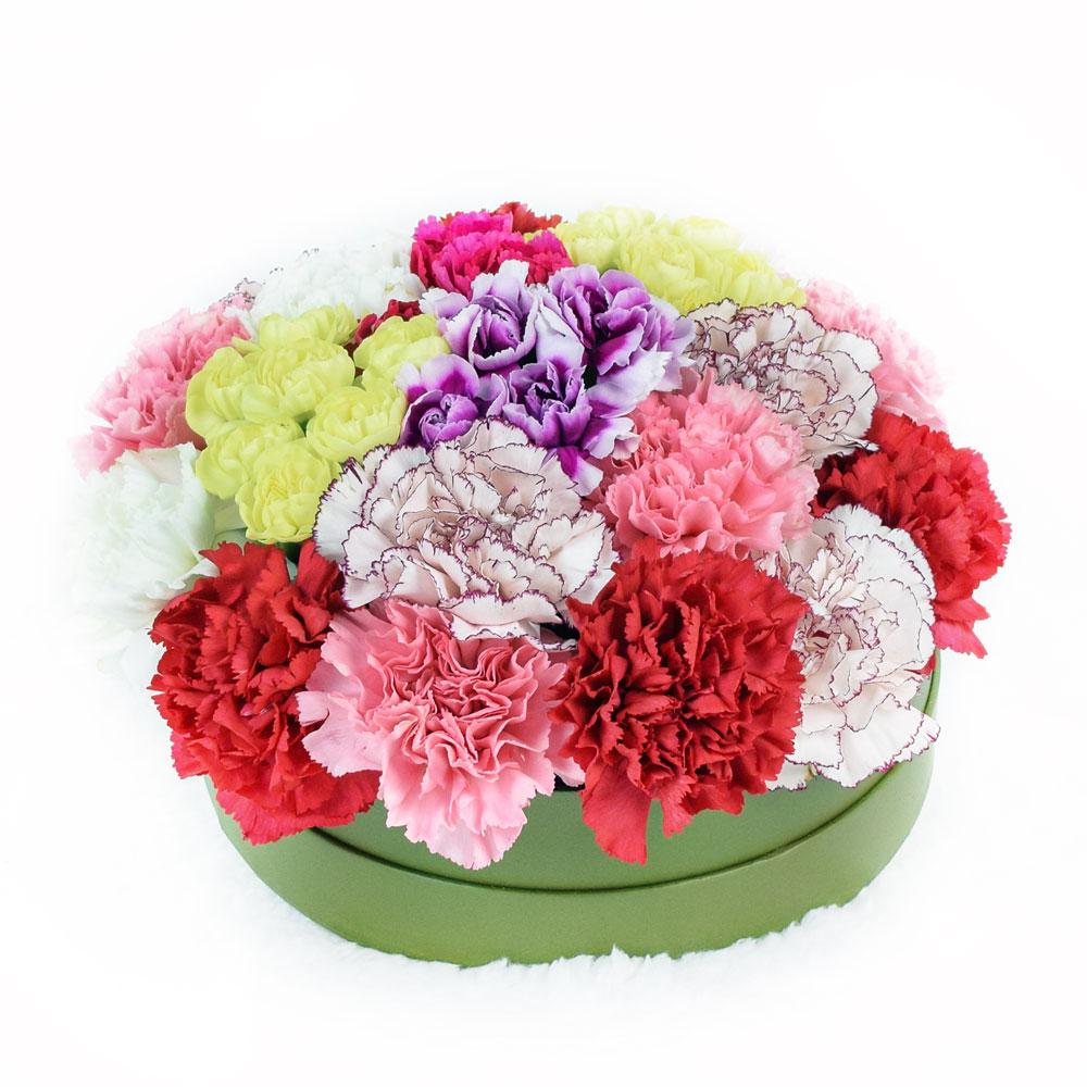 Colorful Radiance Flower Box Set. Carnations - New Jersey Flower Delivery - New Jersey Blooms