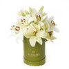 Cornsilk Surprise Lily Box Arrangement - New Jersey Blooms - New Jersey Flower Delivery