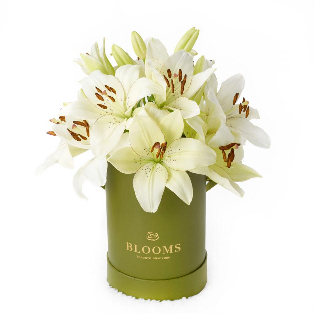 サミット　リリーボックス　LILY BOX サミット リリーボックス LILY BOXの通販はau PAY マーケット - 輸入