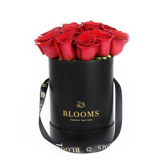 Valentine's Day 12 Red Rose Gift Box, twelve red roses gathered together in a Blooms black gift box, Flower Gifts from Blooms New Jersey - Same Day New Jersey Delivery.