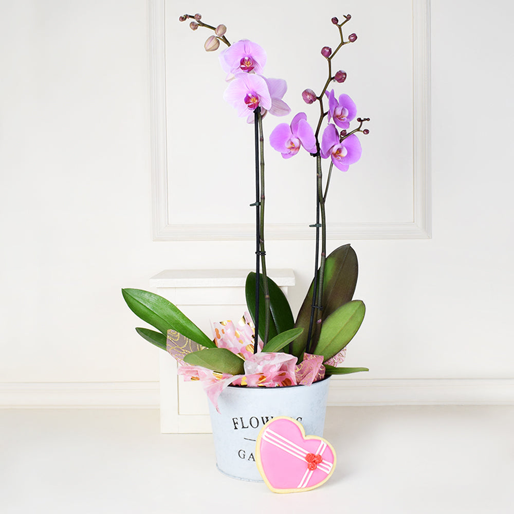Valentine’s Day Orchids Gift Basket, gourmet gift baskets, floral gift baskets, Valentine's Day gifts, gift baskets, romance