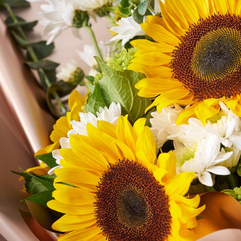 Sunflower Gifts | Eternal Sunshine Sunflower Bouquet - New Jersey Blooms