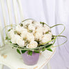 Exceptional White Rose Arrangement, white roses, wax flowers, and lemon grass in a ceramic pot. Flower Gifts from Blooms New Jersey - Same Day New Jersey Delivery.