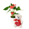 For My Love Flower Gift - New Jersey Blooms - New Jersey Flower Delivery