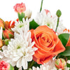 Forever Young Daisy Box - New Jersey Blooms - New Jersey Flower Delivery