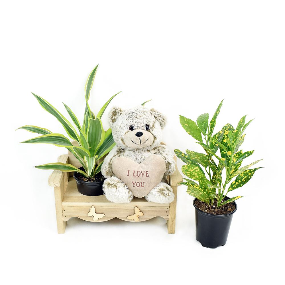 The Gardener's Chair, beautiful wooden chair with soft Sliver Jamie Bear sits 8 inches tall with an "I love you" message heart, Plant gifts from Blooms New Jersey - Same Day New Jersey Delivery.
