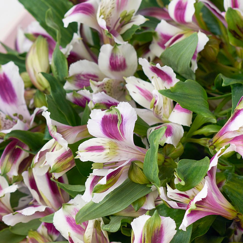 Ivory Dreams Lily Bouquet - New Jersey Blooms - New Jersey Flower Delivery