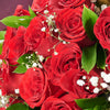 Valentine's Day 24 Red Roses Bouquet, New Jersey Same Day Flower Delivery, roses bouquet, rose gifts. New Jersey Blooms