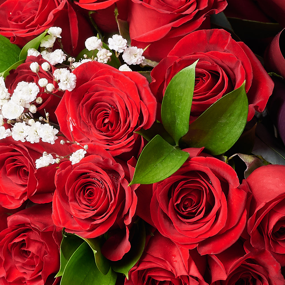 Valentine's Day 36 Red Roses Bouquet, Valentine's Day gifts, rose bouquets, New Jersey Same Day Flower Delivery. New Jersey Blooms