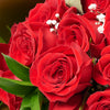 Valentine's Day Dozen Red Roses Bouquet, New Jersey Same Day Flower Delivery, rose bouquets, Valentine's Day gifts