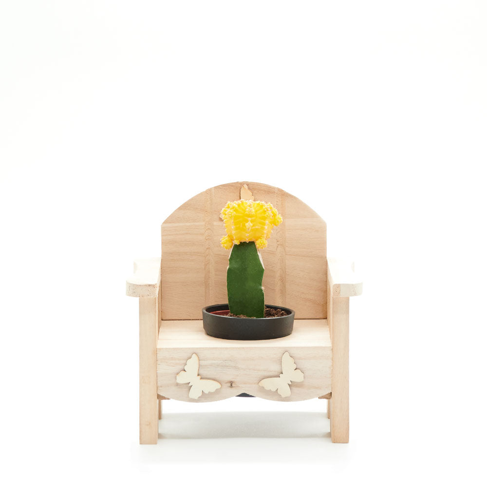Laid-Back Cactus Gift, potted cactus in a chair planter arrangement, wooden planter chair, Plant Gifts from Blooms New Jersey - Same Day New Jersey Delivery.