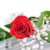 Valentine's Day Single Red Rose, single red rose and greenery placed into a clear protective box for gifting, Flower Gifts from Blooms New Jersey - Same Day New Jersey Delivery.