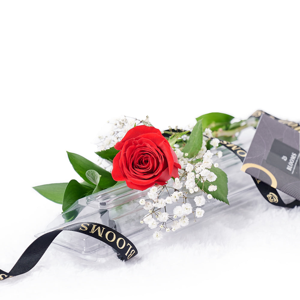 Valentine's Day Single Red Rose, single red rose and greenery placed into a clear protective box for gifting, Flower Gifts from Blooms New Jersey - Same Day New Jersey Delivery.