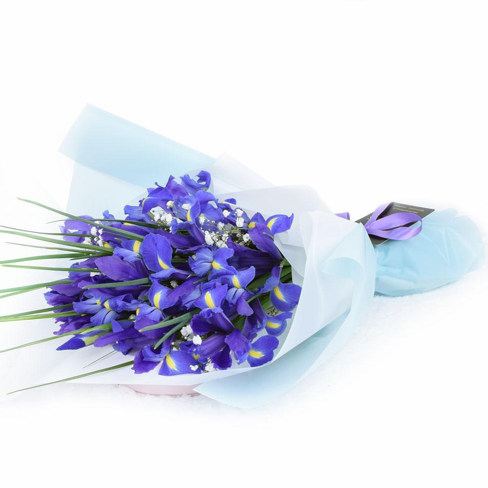 Lavish Lavender Iris Bouquet - New Jersey Blooms - New Jersey Flower Delivery