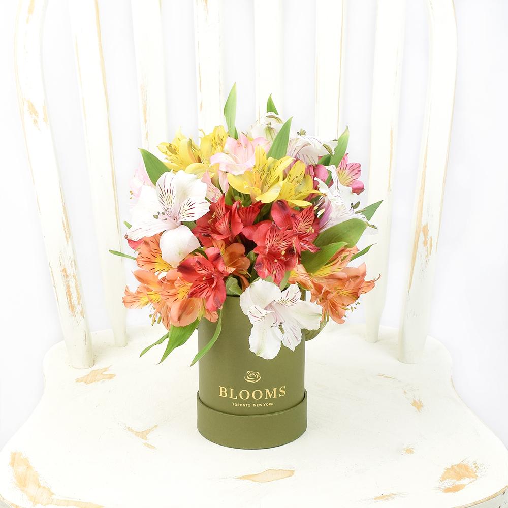 Livewire Lilies Flower Gift - New Jersey Blooms - New Jersey Flower Delivery