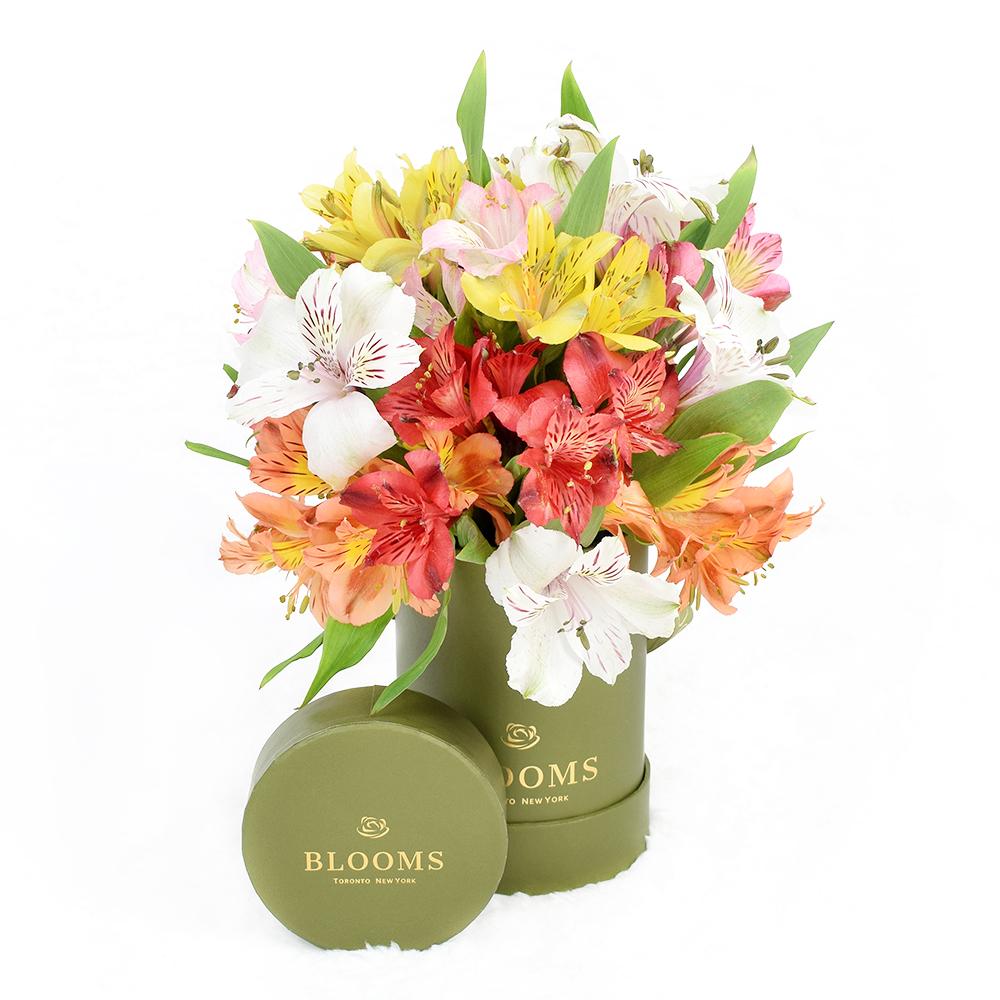 Livewire Lilies Flower Gift &amp; Chocolates - New Jersey Blooms - New Jersey Flower Delivery